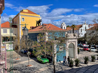 Praça do Bocage Cat on the Roof