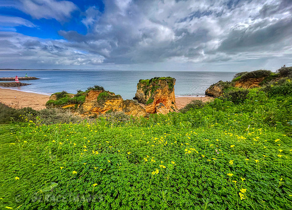 Praia da Batata