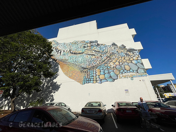 Croc Graffiti mural. They were a daily topic of conversation during our time here.