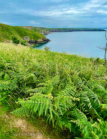 Taken along the Pembrokshire coastline.