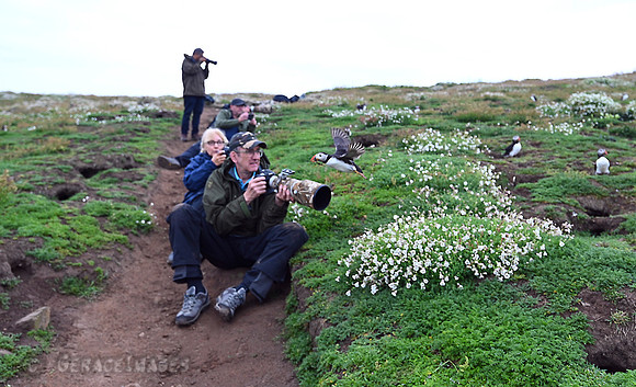 The puffins were darting all around us, sometimes very close too.