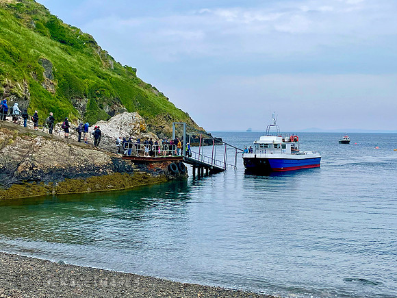 The line to board the boat to Skomer Island at Martin's Haven, Wales.