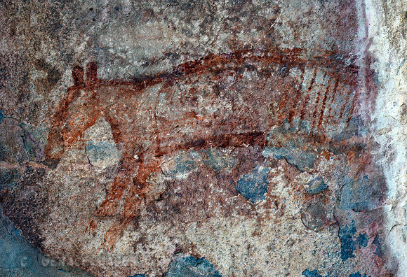 Aboriginal Rock Art at Ubirr, Kakadu NP. Tasmanian TIger, now extinct.