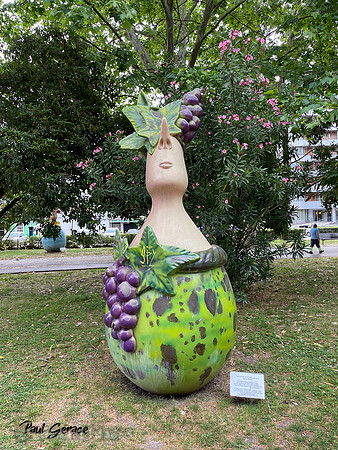 Pasmadinho Dona Vinho