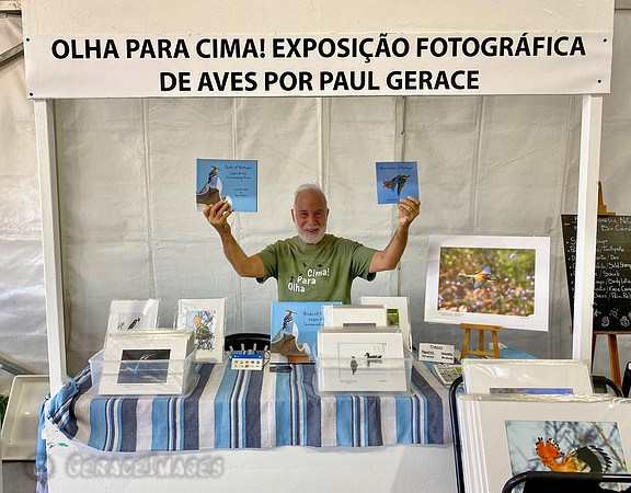 Ready for the Sagres Birdwatching Festival, 2023.