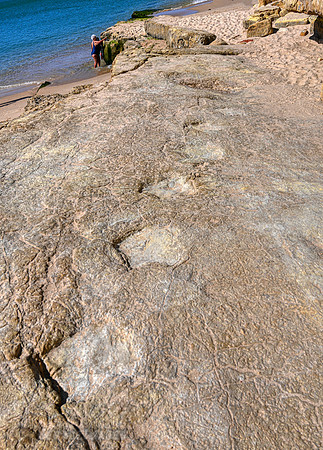 Dinosaur footprints at Salema Beach.