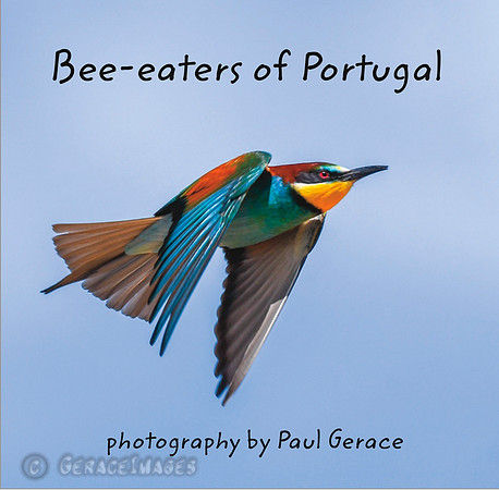 Photo Book available at Blurb.com