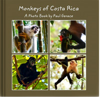 Book available at Blurb.com