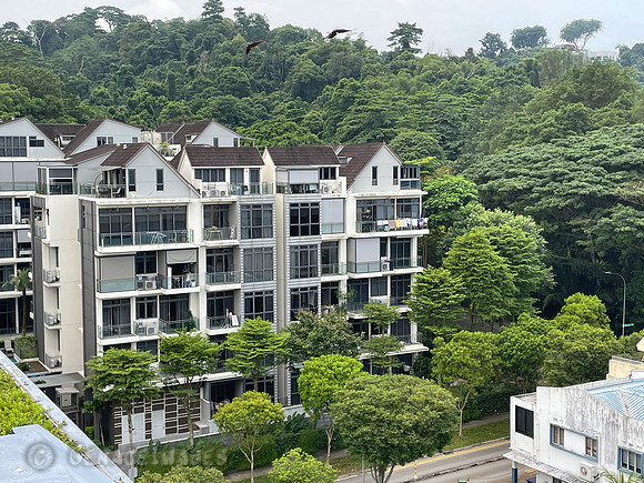 Apartments surrounded by the lush foothills of Mount Faber.