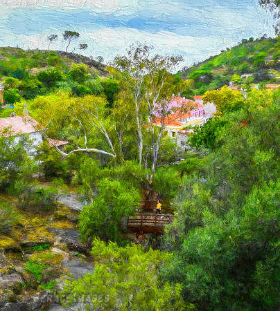 Caldas de Monchique