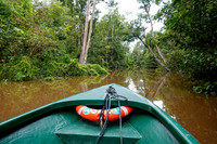 Along the Kinabatungan River