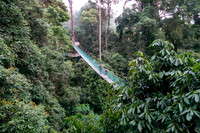 Canopy walk at the Borneo Rainforest Lodge