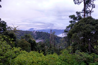 Early morning at Bukit Tinggi.