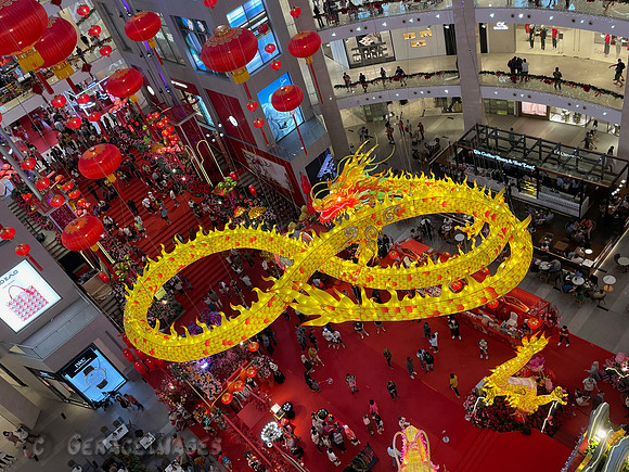 Pavilion Mall Dragon Decor