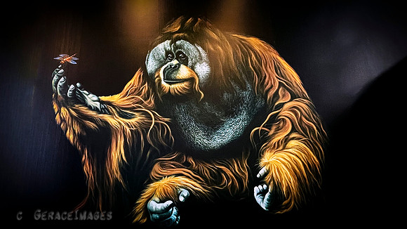 Artist Suzie Chua