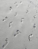 FootstepsCabarete
