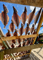 Fish Drying on the Beach
