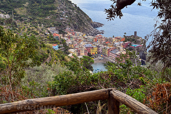 Vernazza from the lookout point.