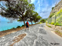 Walking along the pine trees at Arrábida