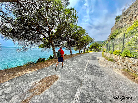 Walking along the pine trees at Arrábida