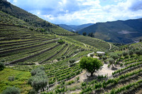 Douro Valley mountain drive from Aveiro to Lamego