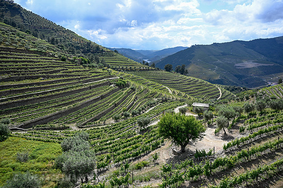 Douro Valley mountain drive from Aveiro to Lamego
