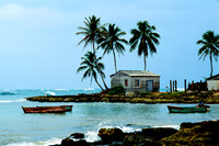 palmshack