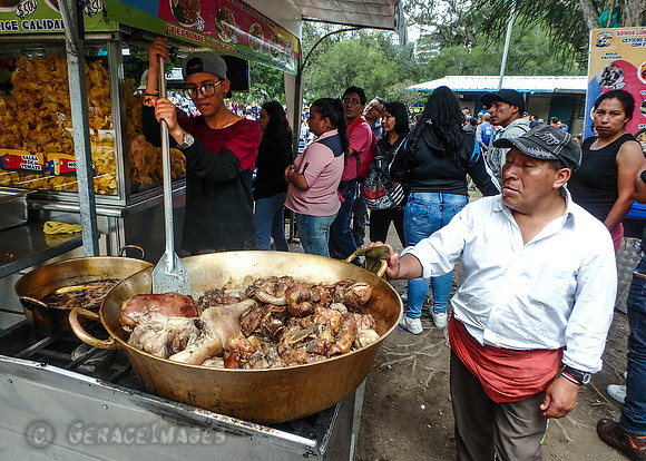Sunday pork at Parque Carolina.