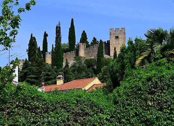 Tomar Castle