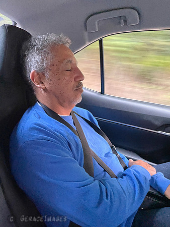 Ceasar had no problem relaxing.