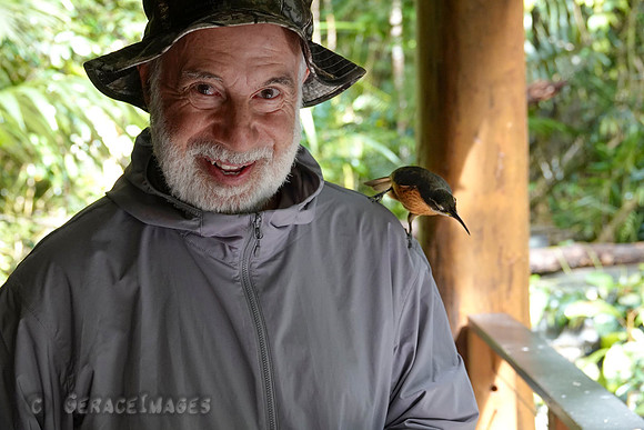 Me being welcomed by the female Victoria's Riflebird.