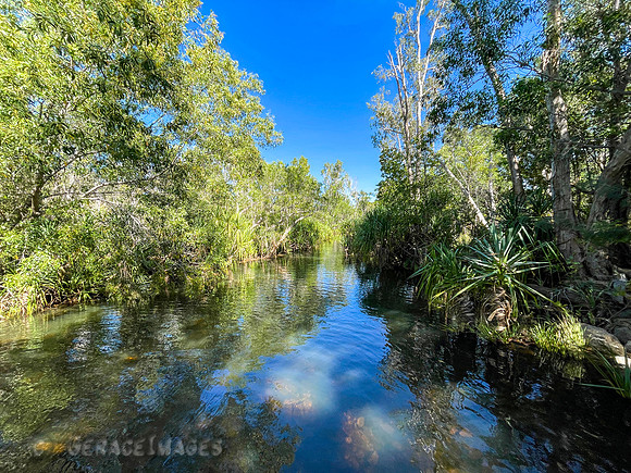 ...apparently it was named for alligators by someone who did not know the difference. No Gators here