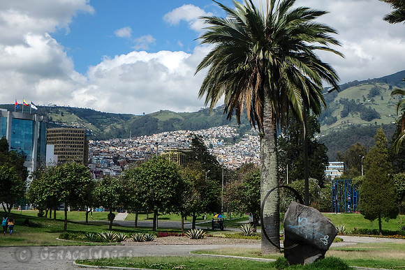 View of the homes on the surrounding hillside from a city park.