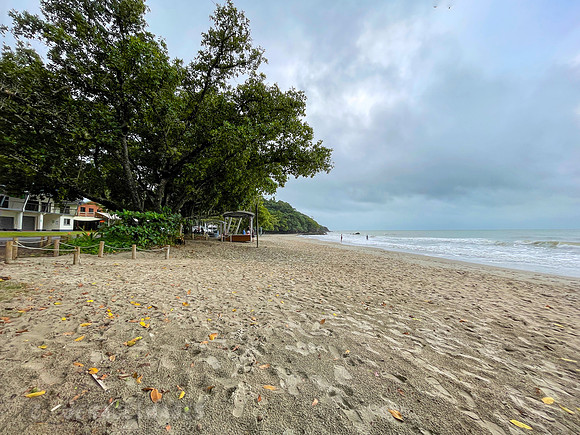 Etty Beach. No Cassowaries this time. They stayed up the hill.