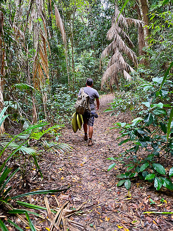 Sammy leading the way through the Jullaten Rainforest.