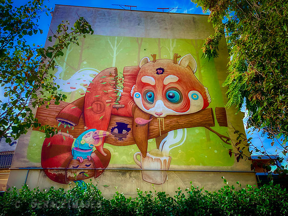 Pignetto neigborhood