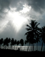 SunrisePonteVedra