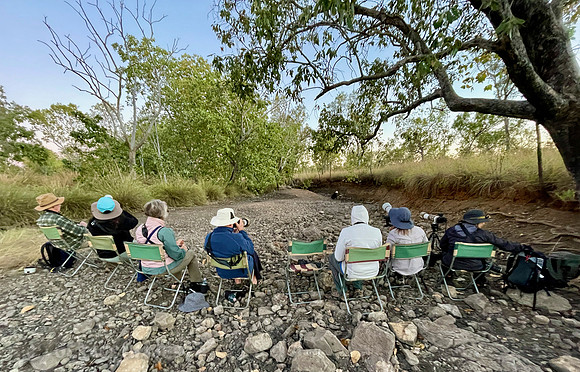 as we wait for the arrival of the Gouldian Finches at the watering hole.