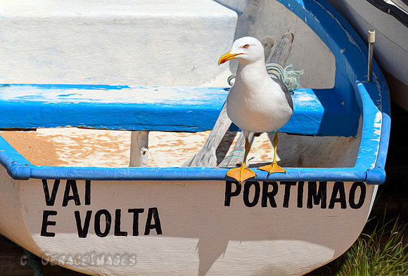 Armaçao de Pera