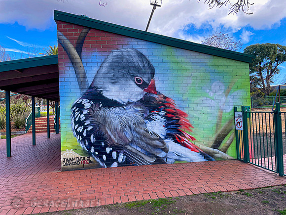 Wedderburn Graf Firetail.